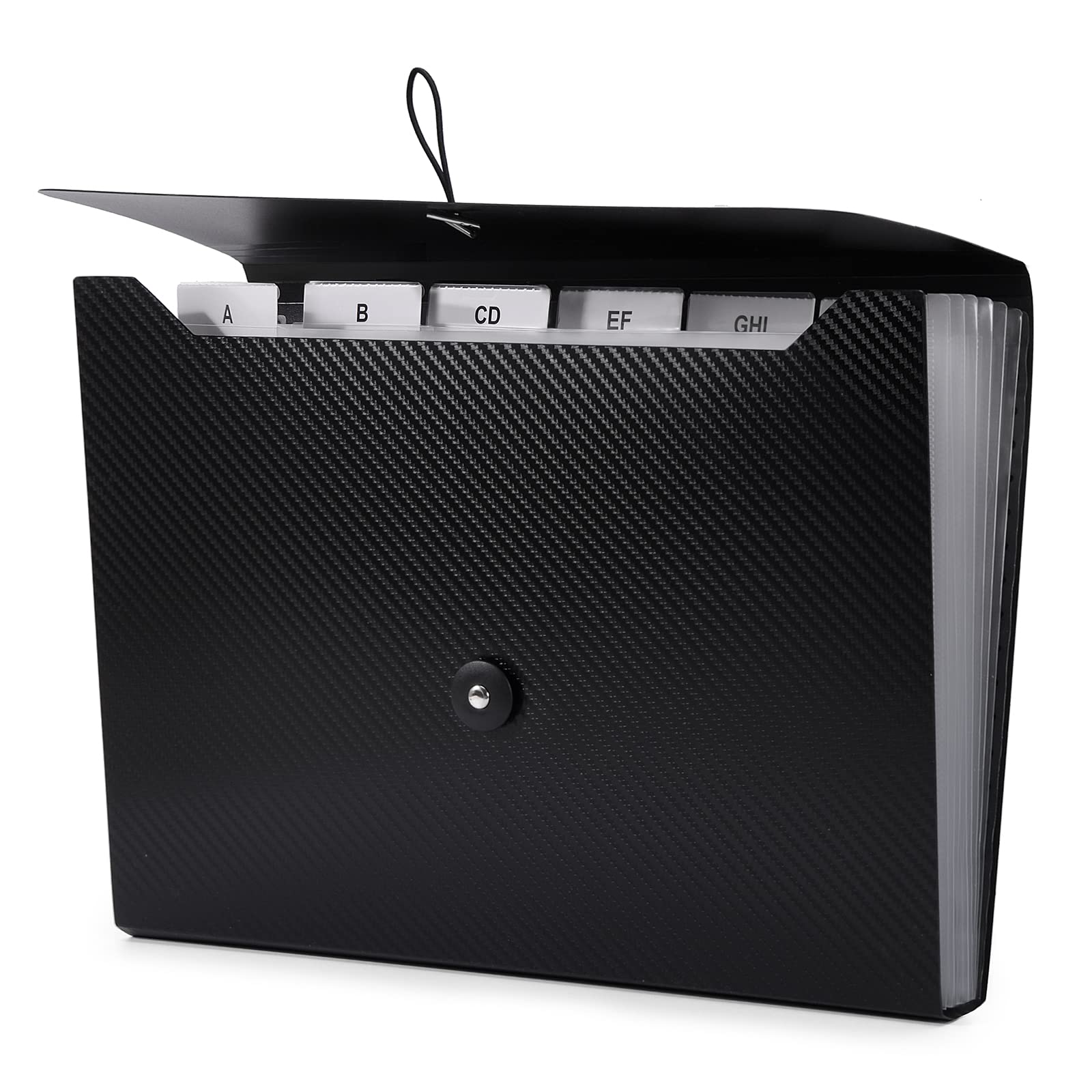 Expanding File Organizer with Tabbed Pockets