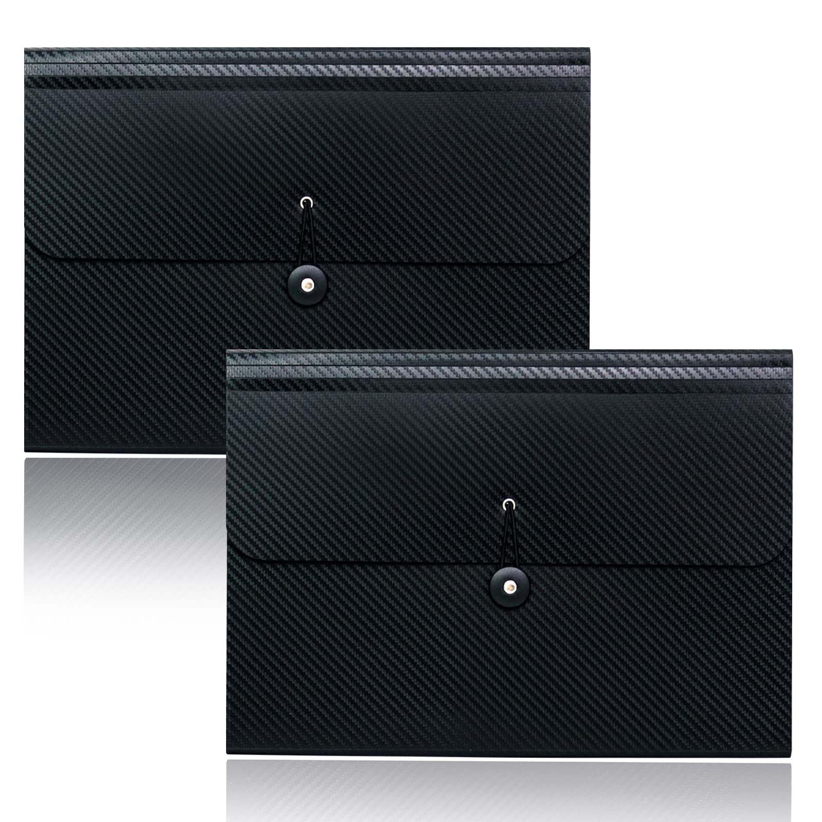 Expanding File Organizer with Tabbed Pockets