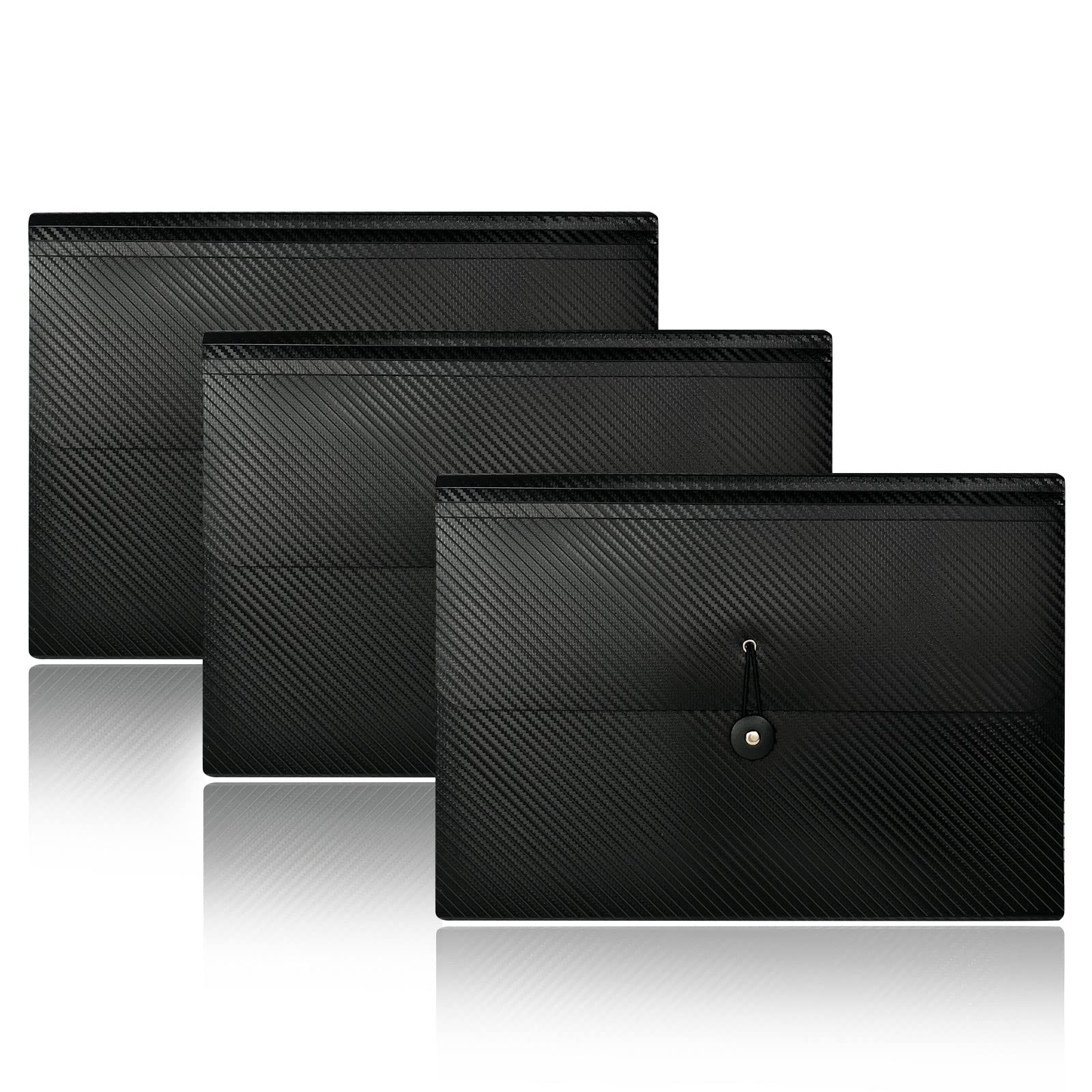 Expanding File Organizer with Tabbed Pockets