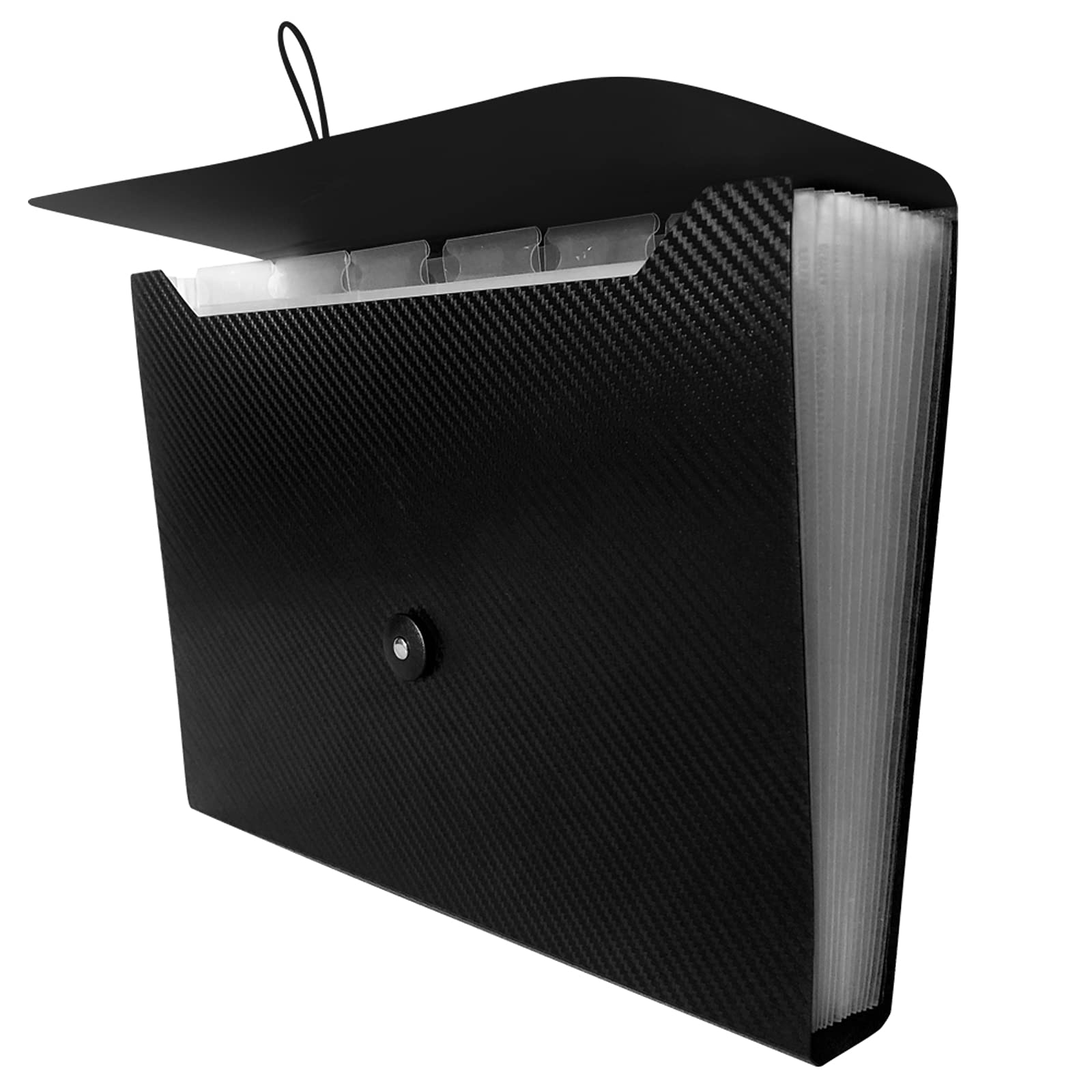 Expanding File Organizer with Tabbed Pockets